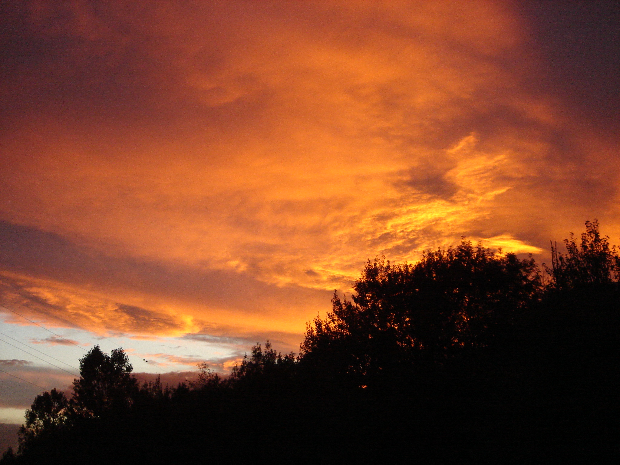 Varianten-Produkt Vater